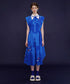 Blue Bird Flare Dress